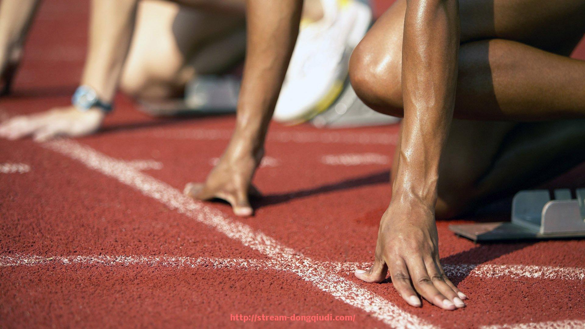 懂球帝直播-曼城世俱杯冠军阵容深度解析与球员表现