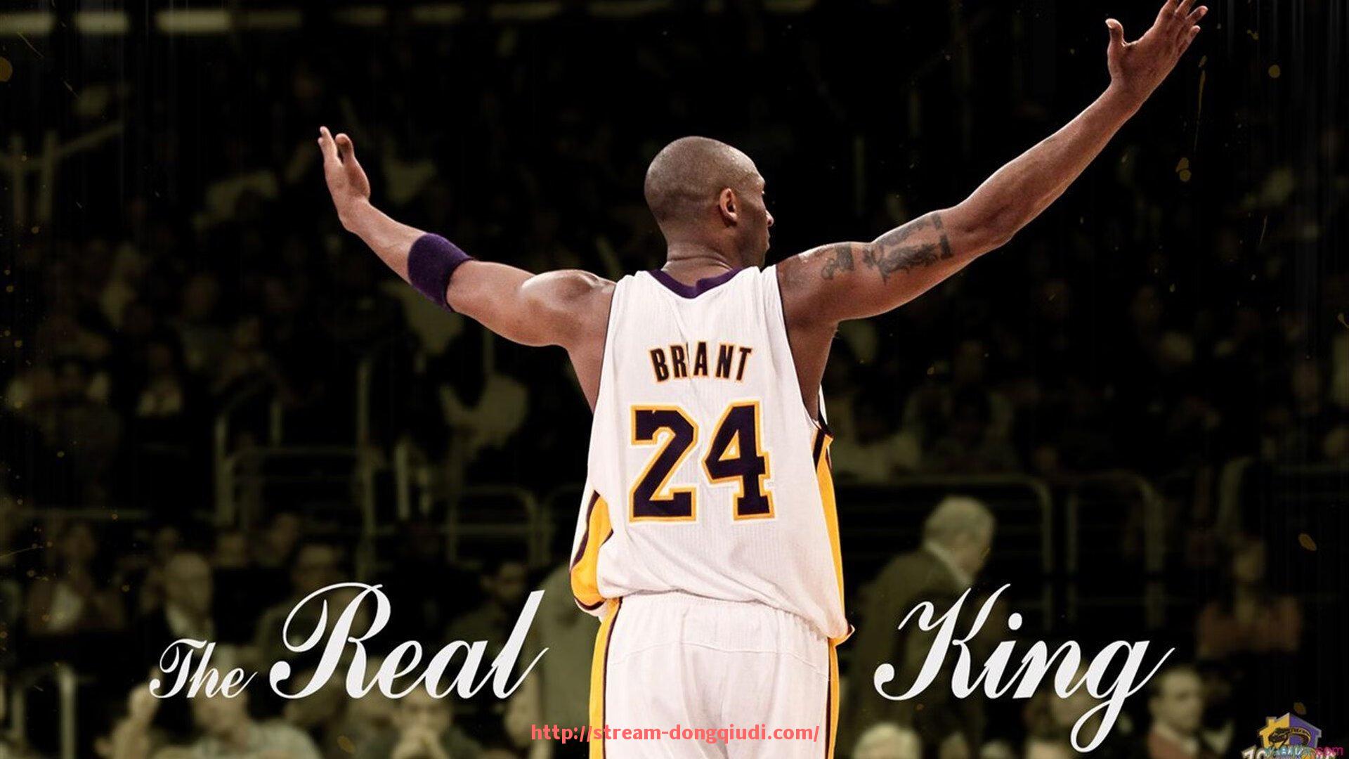 懂球帝直播-欧冠篮球中国关注度分析：欧洲联赛在华传播情况解读